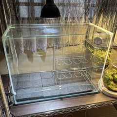 DOOA ネオグラスパルダ60 - メルカリ