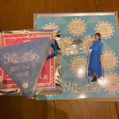 日向坂 ローソン くじ アクリルチャーム コインケース セット 濱岸ひよりのサムネイル