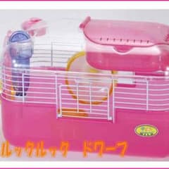 ルックルックドワーフ ピンク 新古品のサムネイル