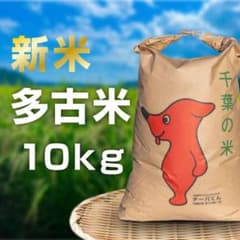 【新米】多古米 コシヒカリ 10kg 玄米（必ず商品説明をご覧ください）のサムネイル