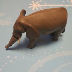 アニア　ゾウのサムネイル