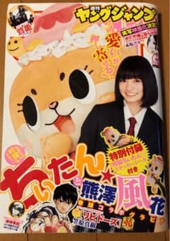 週刊ヤングジャンプ  2019年13号　ちぃたん　熊澤風花　表紙のサムネイル