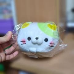 당지 모치후와 무렵 냥코 샤치호코 냥