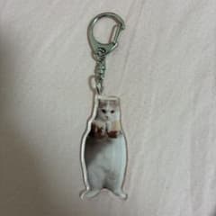 猫ミーム キーホルダーのサムネイル