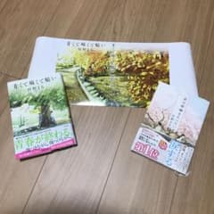 【ゆきんこ様専用】青くて痛くて脆いのサムネイル