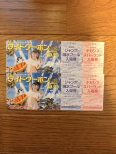 ナガシマスパーランド ワイドクーポン 2冊セット - メルカリ
