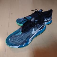 Nike Vapor NXT HCテニスシューズのサムネイル