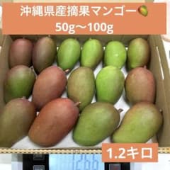 沖縄県産摘果マンゴーグリーンマンゴー青マンゴー／76 - メルカリ