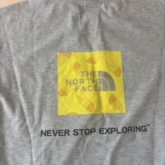 THE NORTH FACE 韓国キッズ Tシャツ グレーのサムネイル