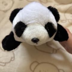 パンダ ぬいぐるみ 手のひらサイズのサムネイル