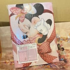 【新品未使用】ミニーのベスティーズバッシュ布団カバーとスーベニアバッグセット 新品未使用】ミニーのベスティーズバッシュ布団カバーと