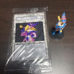 m45065920444_1.jpg?1711469362