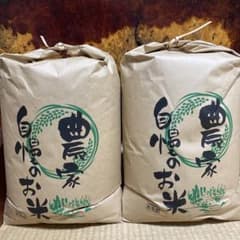 農家自慢の白米　20kg 農家自慢の白米 新潟県産コシヒカリ10kg：新潟県産のお米｜食べチョク 米・雑穀・粉類