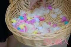 みんと様専用のサムネイル