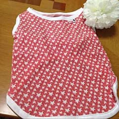 犬の服のサムネイル