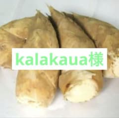 kalakaua様　京都山城産　朝掘り筍訳あり4kgのサムネイル