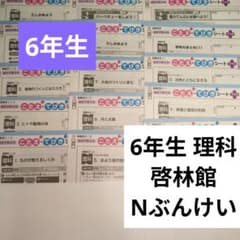 m45101175693_1.jpg?1775397509
