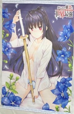 八重樫 雫 描き下ろしB2タペストリー ありふれた職業で世界最強 5巻