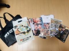 RIZIN4 VIPグッズまとめ売り Tシャツパス ピンバッジ タオルトート付きのサムネイル