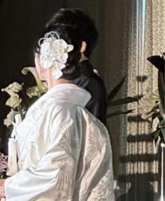 胡蝶蘭ヘアアクセサリーのサムネイル