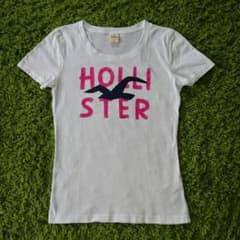 KYLIE様専用  HOLLISTER Tシャツのサムネイル