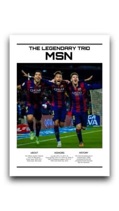 MSN A4ポスターのサムネイル