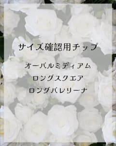 サイズ確認用　ネイルチップのサムネイル