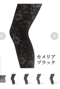マルコタイツのサムネイル