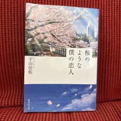 桜のような僕の恋人 宇山佳佑 集英社文庫のサムネイル