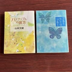 山本文緒 文庫本2冊セット パイナップルの彼方 ブルーもしくはブルーのサムネイル