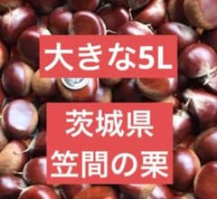 まー@プロフ必読様専用ページ 笠間の生栗　大きな生栗のサムネイル