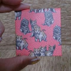 ☆再値下げ☆ポールアンドジョー コンパクトのサムネイル