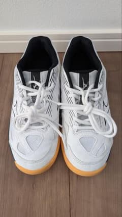 【美品】Mizuno バレーボールシューズ 22.5センチのサムネイル