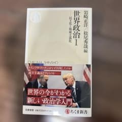 世界政治1 - 民主化と国際政治のサムネイル