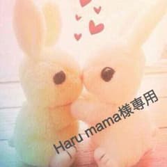 Haru mama様専用出品のサムネイル