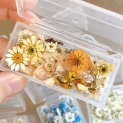 ドライフラワー詰め合わせ - メルカリ