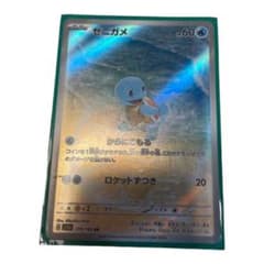 ゼニガメAR 170/165のサムネイル