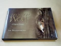 ☆ ジム・ブランデンバーグ 写真集 Brother Wolf ブラザー・ウルフ