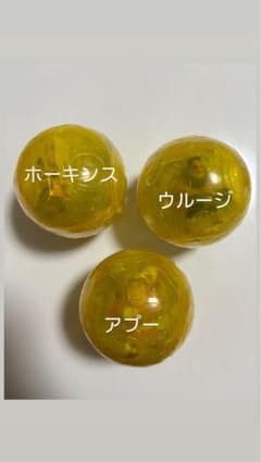 レク様専用のサムネイル