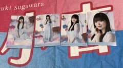 乃木坂46 小川彩 結成15周年記念 生写真 4種コンプのサムネイル