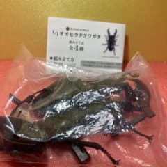 1/1 オオヒラタクワガタ カプセルトイのサムネイル