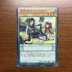 【遊戯王】召喚師ライズベルトのサムネイル