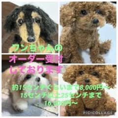 羊毛フェルト ワンちゃんオーダー受付中のサムネイル