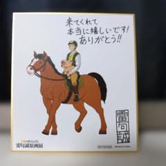 金色のガッシュ!!と雷句誠原画展 ミニ色紙のサムネイル