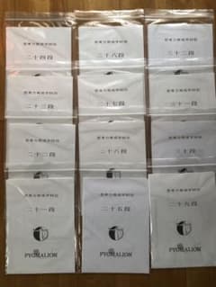 ピグマリオン 思考力育成教材 二十一段〜三十二段 - メルカリ