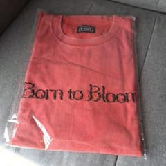 HANA Born to Bloom Tシャツ ROSE Lサイズ - メルカリ