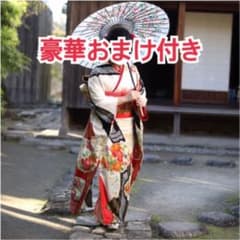 振袖　正絹　刺繍半衿付きのサムネイル