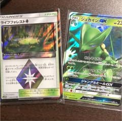 ポケモンカード ジュカインgxセットのサムネイル