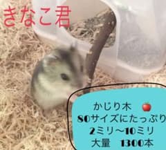専用です⭐︎のサムネイル