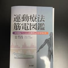運動療法筋電図鑑 深部筋までとらえる効果的なエクササイズ : 深部筋までとらえ…のサムネイル